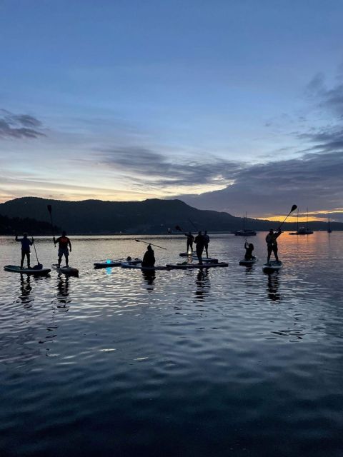 Brentwood Bay: Stand-up Paddleboard Bioluminescence Tour - Key Points