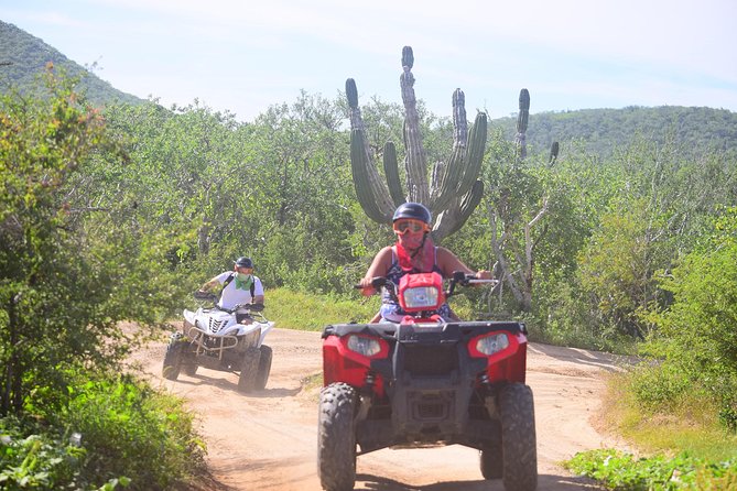Cabo Original Real Baja 1000 Tour (Single ATV) - Key Points