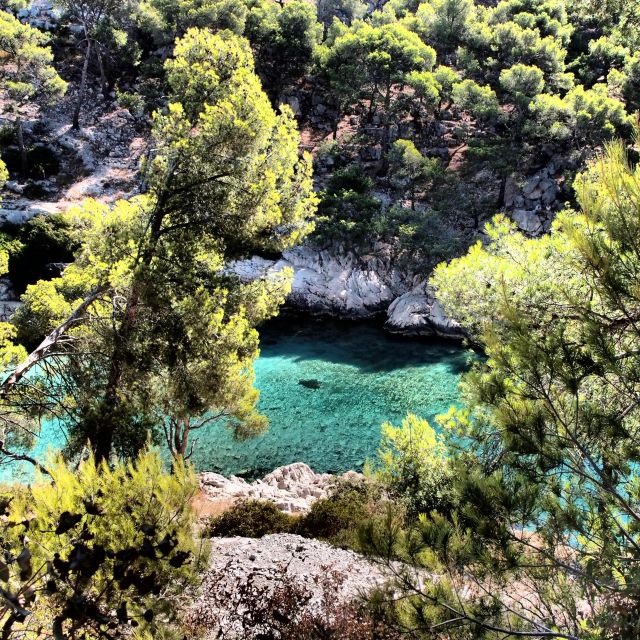 Cassis: Calanques National Park Sea Kayaking Tour - Key Points