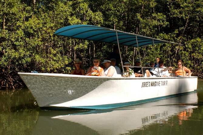 Damas Mangrove Boat Tour - Key Points