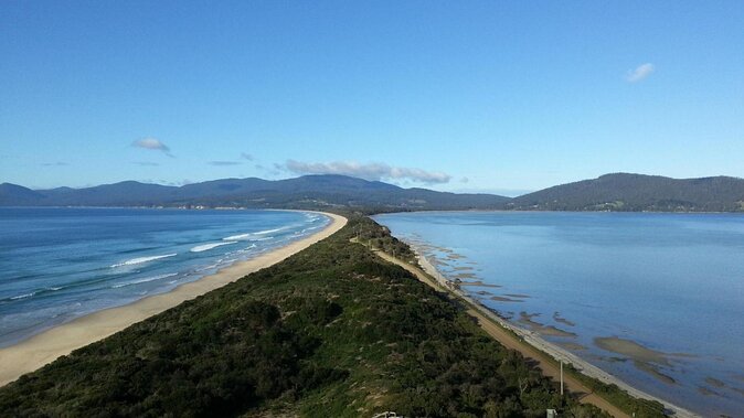 Deep-to-Dish: Tasmanian Seafood Experience - Key Points