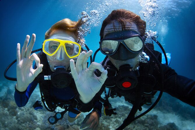 Discover PADI Diving in Barcelona - Key Points