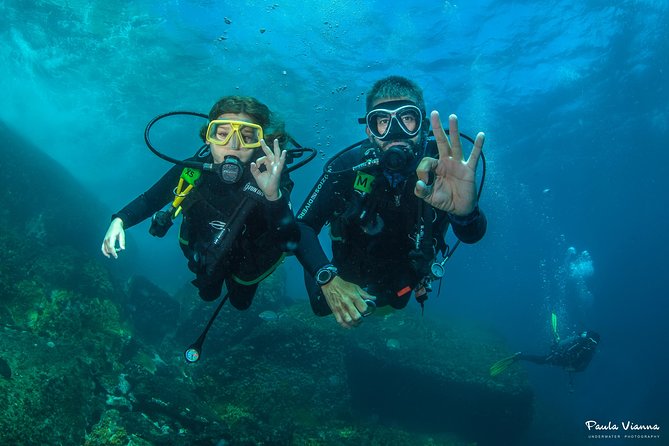 Diving for Beginners and Accredited - Búzios RJ - Key Points