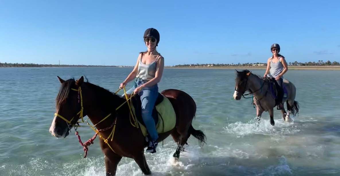 Djerba: 2-Hour Lagoon Horse Riding Experience - Key Points