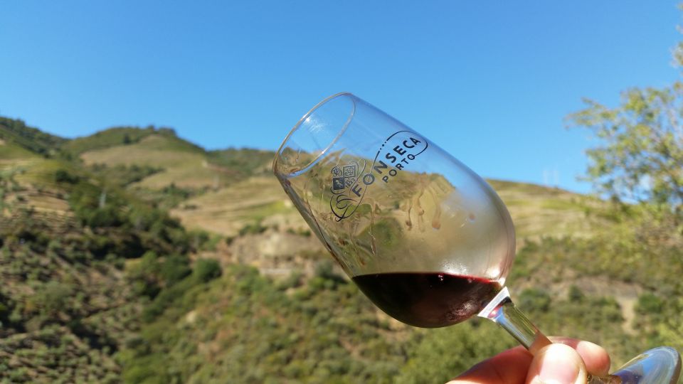 Douro Valley Wine Tasting From Porto - Key Points