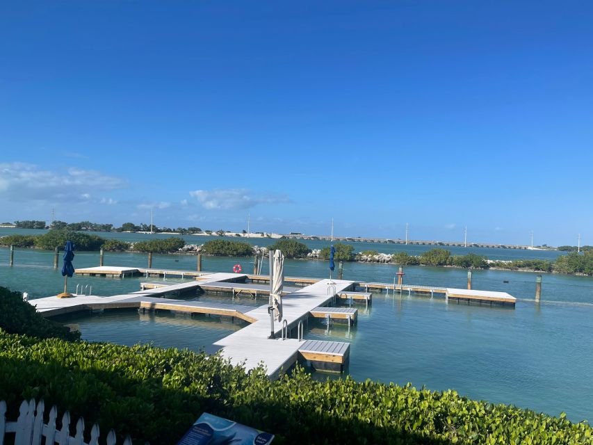 Florida Keys: Dockside Dolphin Experience - Ticket Information