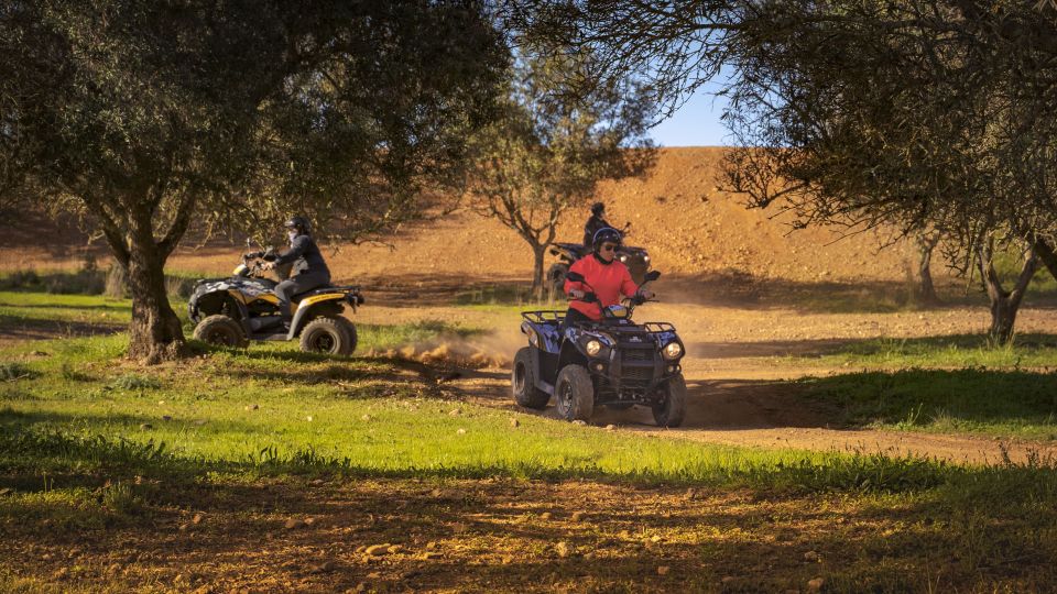 From Albufeira: Full-Day Off-Road Quad Tour - Key Points