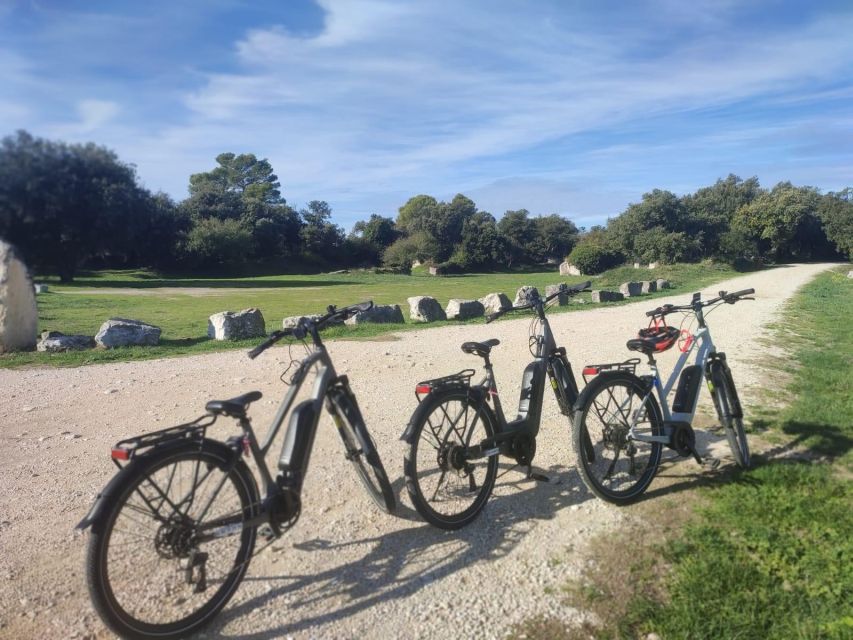 From Avignon: Full-Day E-Bike Tour in the Luberon Region - Key Points