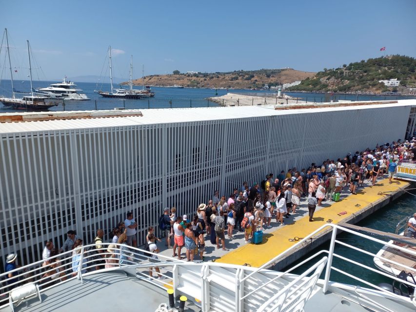 From Bodrum: Ferry Transfer to Kos - Key Points