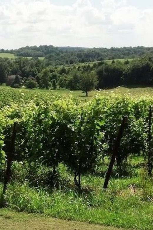 From DC or Balt: Westminster Region Wine Tour With Lunch - Key Points