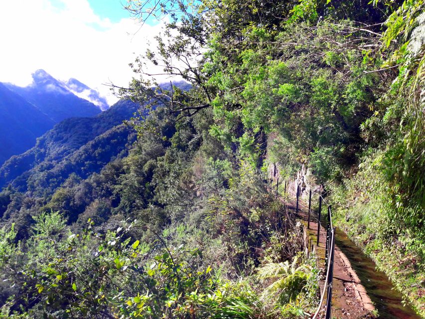 From Funchal: São Jorge Valleys Levada Walk - Location and Activity Details