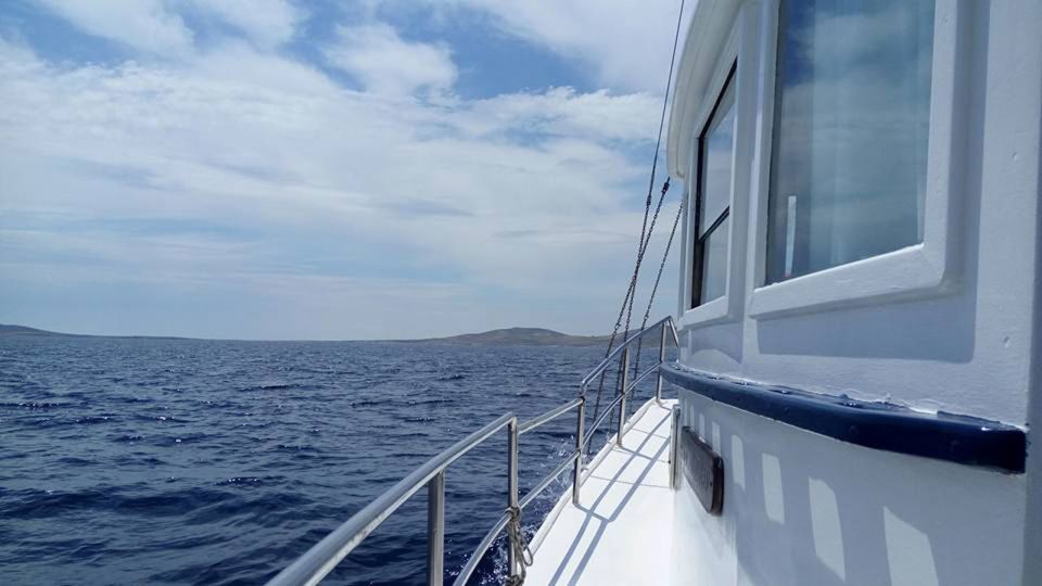 From Mykonos: Full-Day Ancient Delos & Rhenia Island Cruise - Key Points