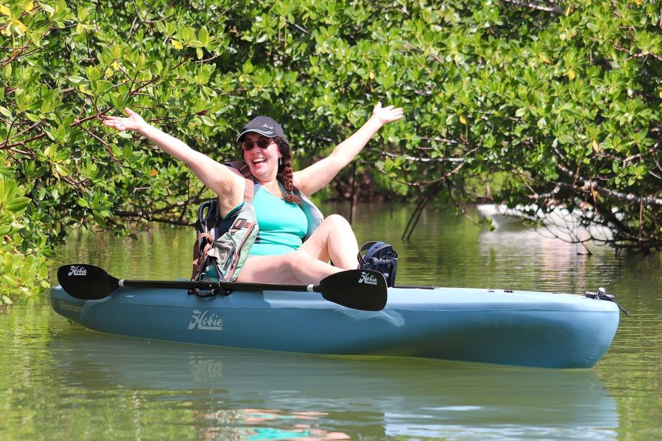 From Naples, FL: Marco Island Mangroves Kayak or Paddle Tour - Tour Details