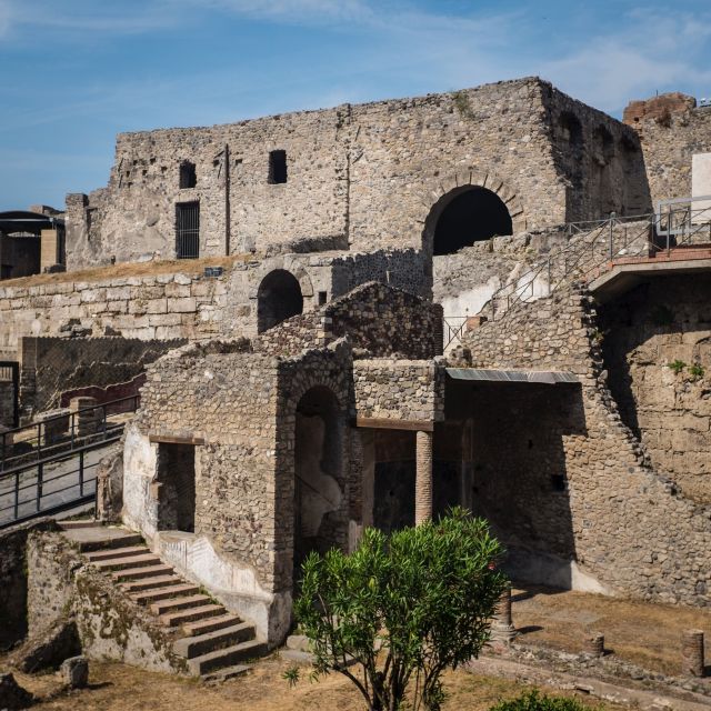 From Naples: Private Tour of Pompeii - Key Points