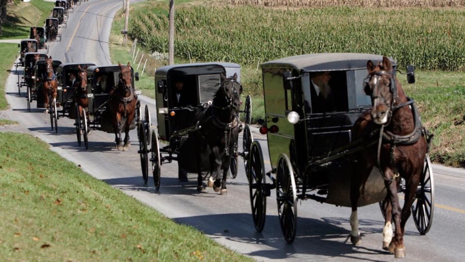 From New York: Philadelphia And Community Amish Day Trip - Trip Details
