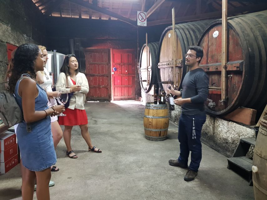 From Porto: Douro Valley 3 Vineyards Tour With Lunch - Key Points