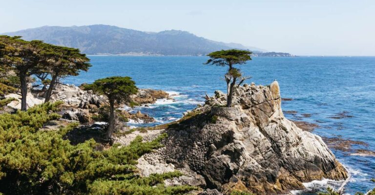 From San Francisco: Monterey and Carmel Day Tour