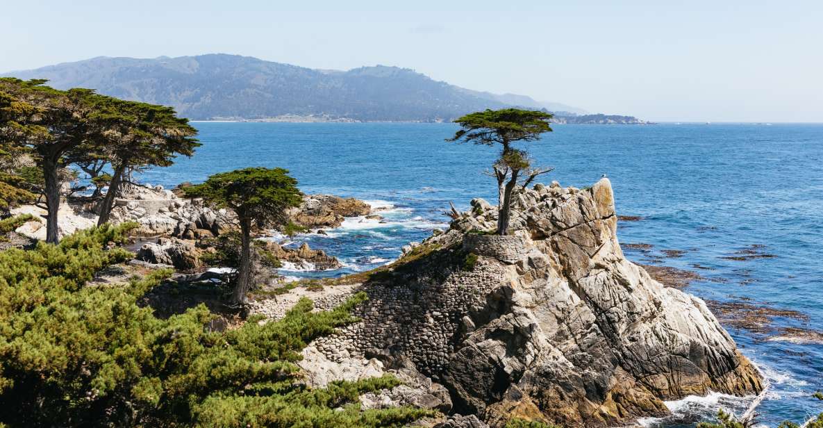 From San Francisco: Monterey and Carmel Day Tour - Experience Itinerary