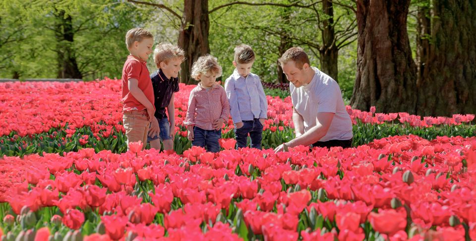 From Schiphol Airport: Keukenhof Entry and Public Bus Ticket - Key Points