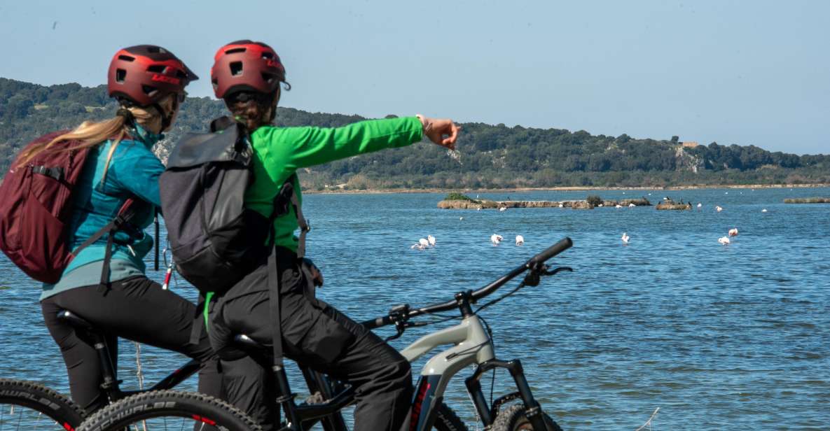 Gialova: Navarino Bay E-Bike Tour With Waterfall Swim - Key Points