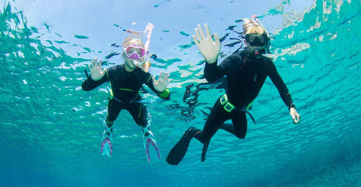 Half Day Snorkeling Course - No Experience Needed - Key Points