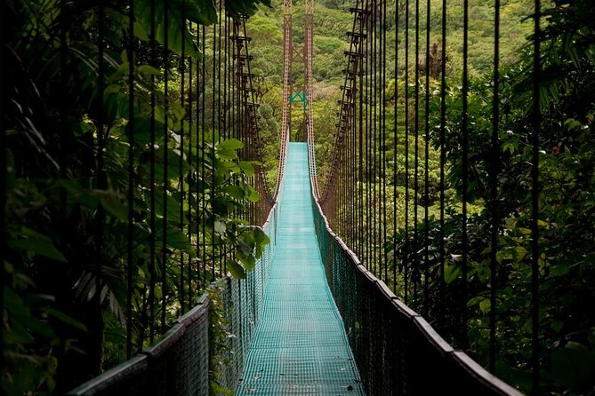 Hanging Bridges Walk in Arenal Volcano - Key Points