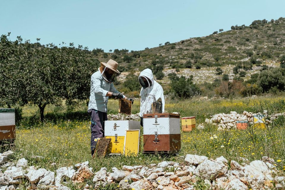 Heraklion: True Crete Melidoni Cave, Secrets of Honey, Olive - Key Points