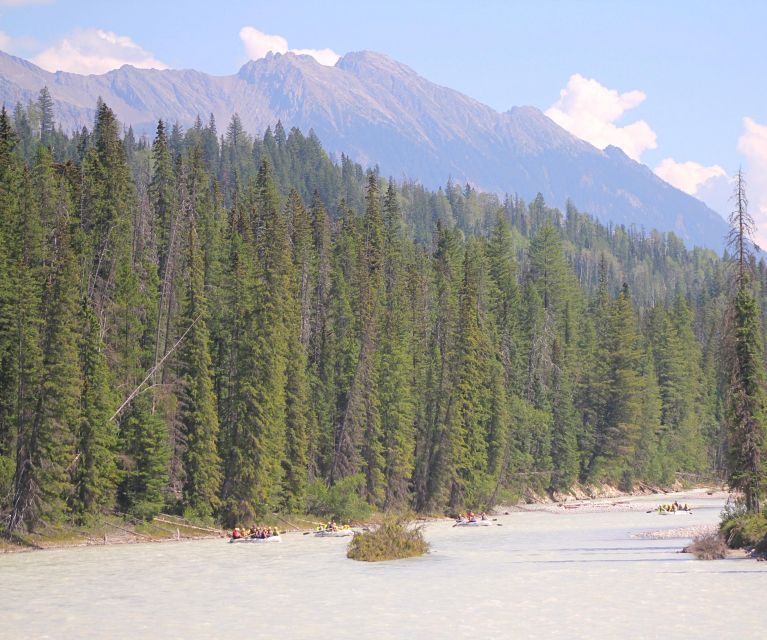Kicking Horse River: Half-Day Intro to Whitewater Rafting - Key Points