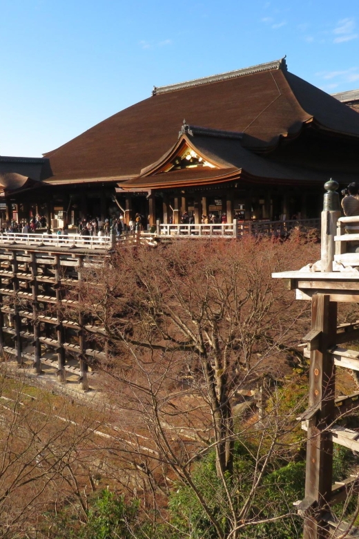 Kyoto: The Best of Kyoto - Half Day Private Tour - Activity Details