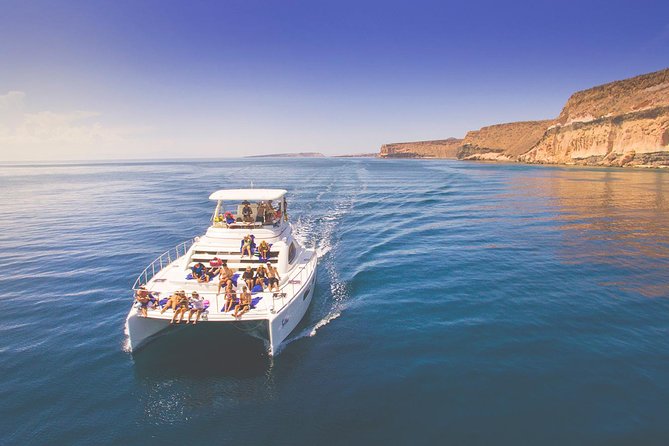 Los Cabos Sea of Cortez Sightseeing Cruise and Snorkeling Tour  - Cabo San Lucas - Key Points