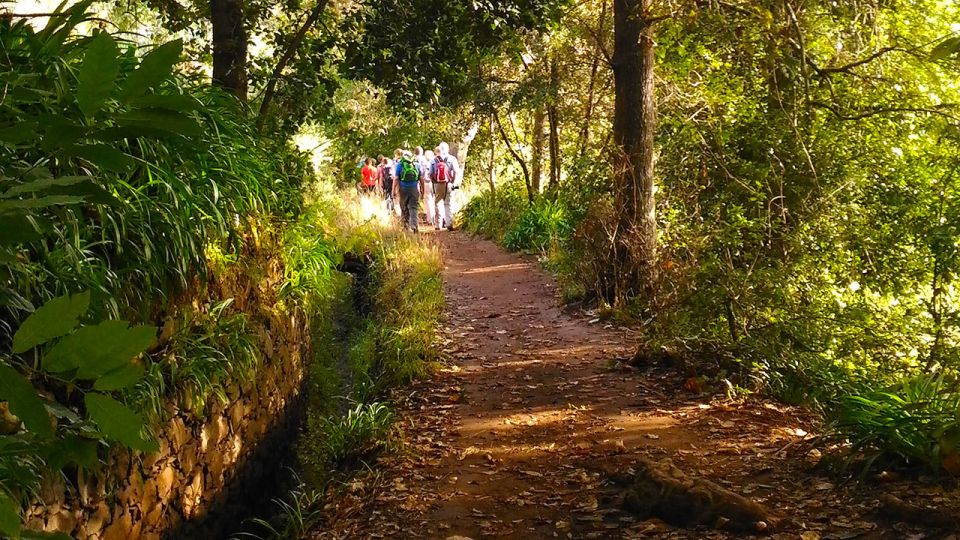 Madeira: Paradise Valley Levada Walk - Key Points