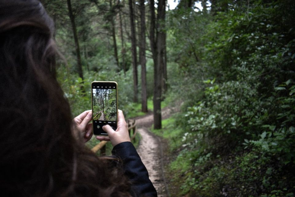 Miles Canyon: Self-Guided Nature Tour With Audio Guide - Key Points