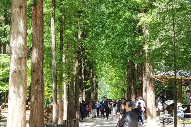 Nami Island and Petite France - Filming Location - Key Points