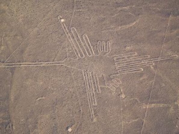 Nazca Lines & Ballestas Islands Private Tour From Lima - Key Points