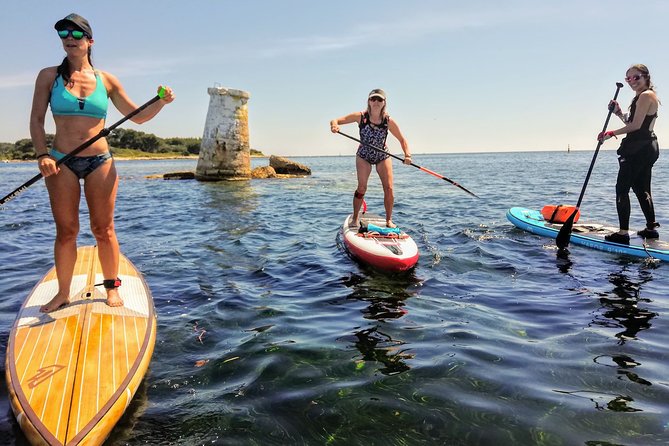 Nice Guided Stand-Up Paddleboard Half-Day Tour - Key Points