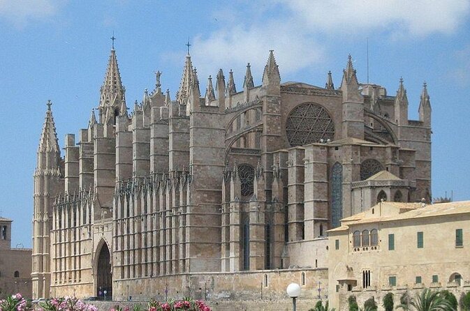 Palma De Mallorca Old Town Segway Tour - Key Points