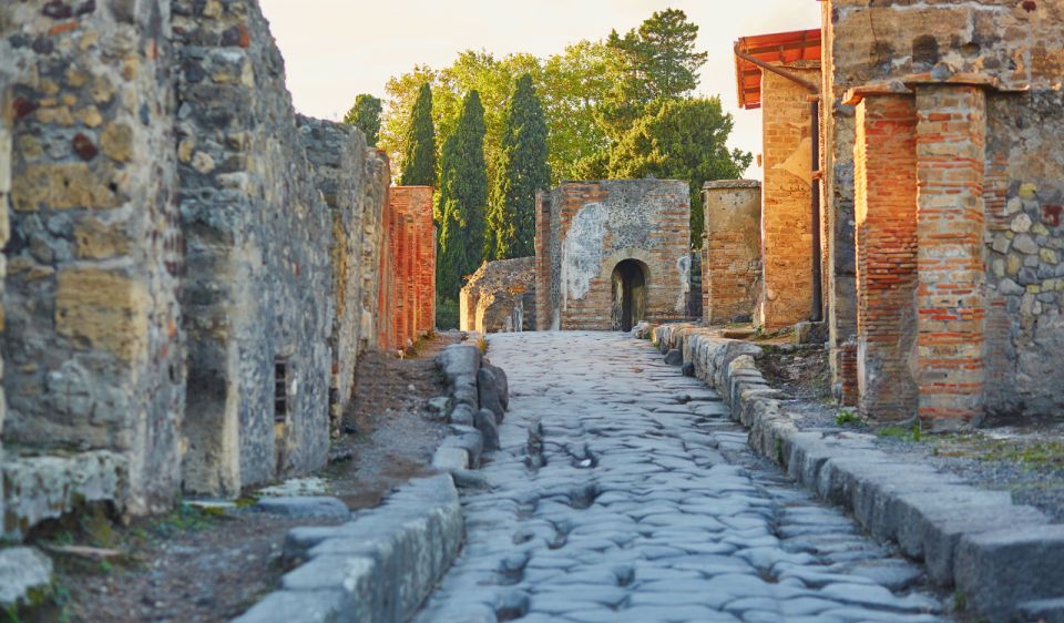Pompeii and Vesuvius 8-Hour Tour From Sorrento - Key Points