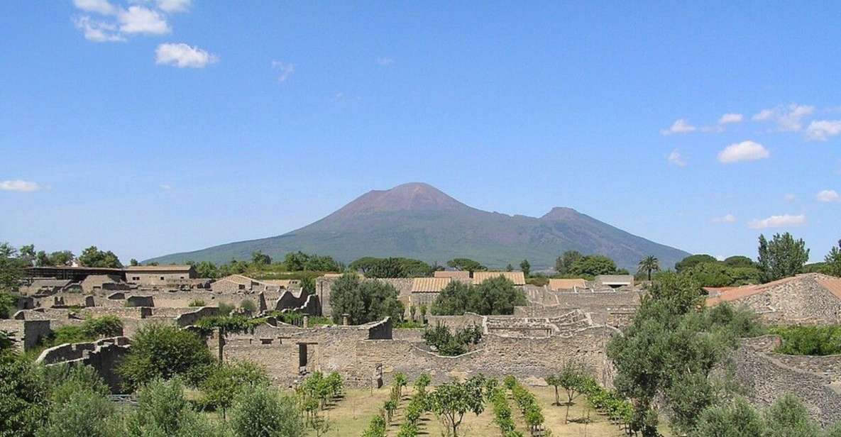 Pompeii With Wine Tasting Private Tour - Key Points