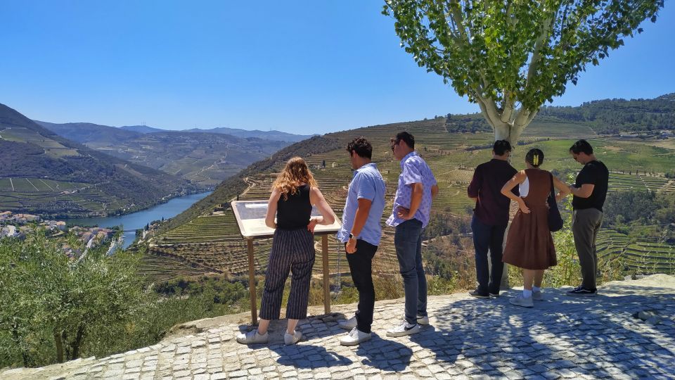 Porto: Douro Valley Wine Tour With Tastings, Boat, and Lunch - Key Points