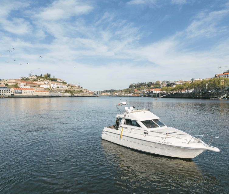 Porto: Leçaodouro Boat Cruise 2H - Key Points