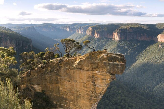 Private Tour Blue Mountains Day Adventure Wildlife + River Cruise - Key Points