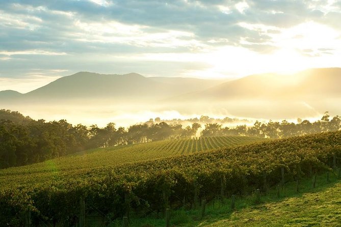 Private Yarra Valley Tour