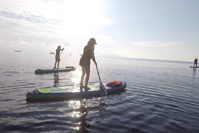 Santorini Stand-Up Paddle and Snorkel Adventure - Activity Overview