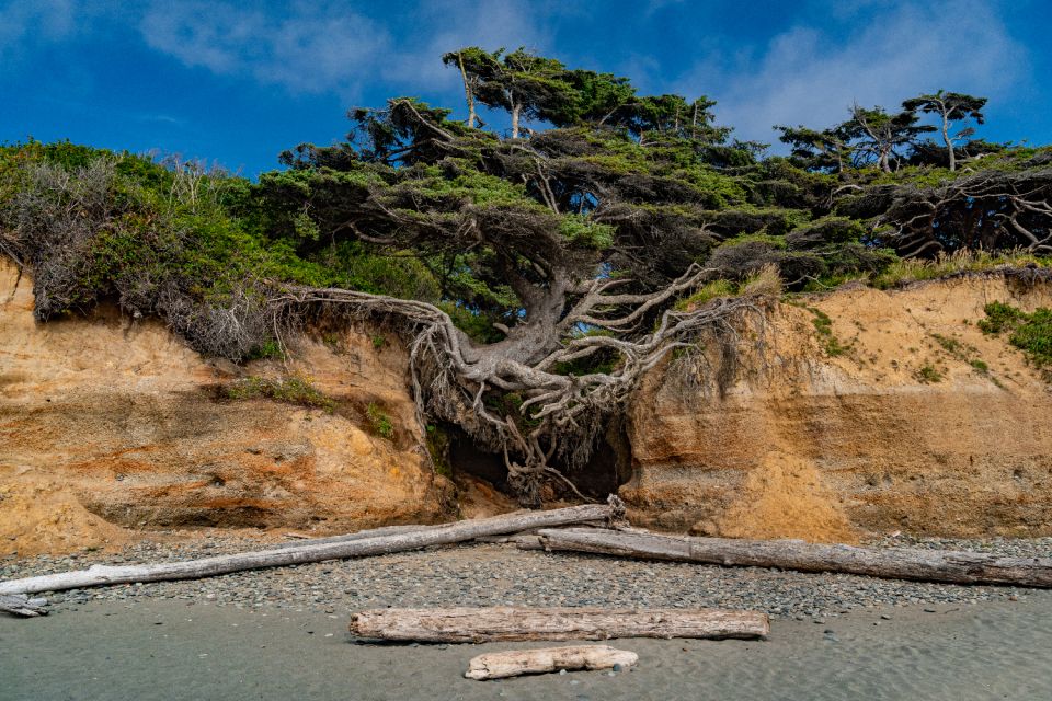 Seattle And Olympic NP Self-Guided Audio Bundle Tour - Key Points