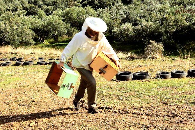 Small-Group Honey & Extra Virgin Olive Oil Tasting Tour in Crete - Key Points
