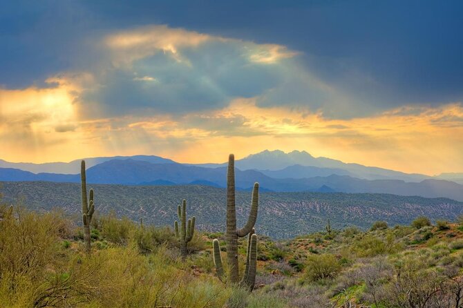 Sonoran Desert 2 Hours Guided UTV Adventure - Key Points