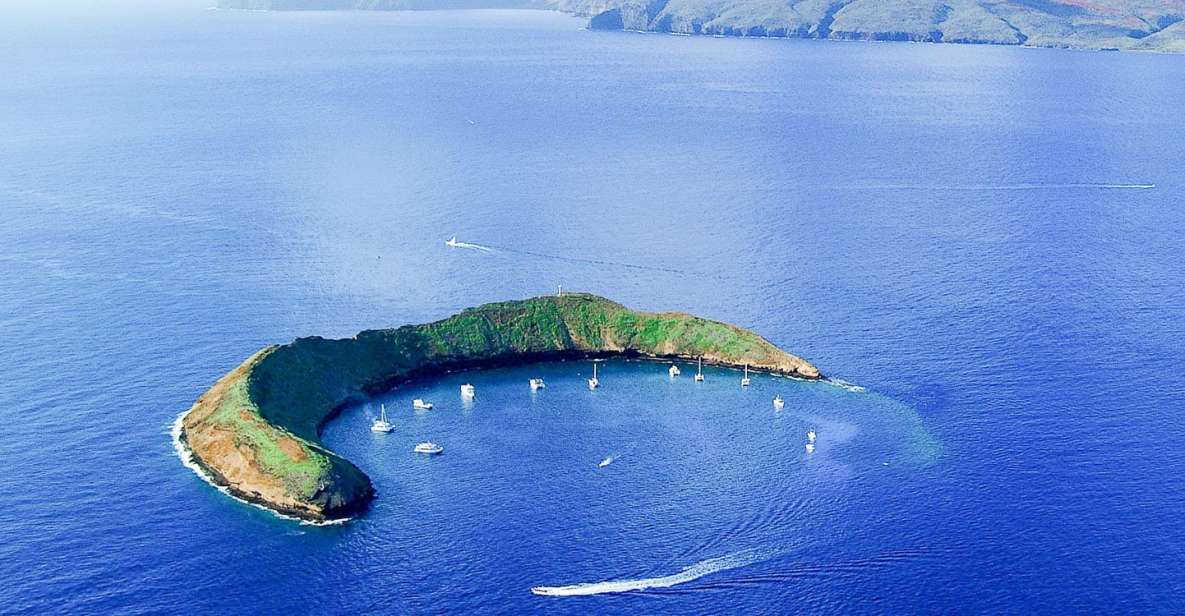 South Maui: Molokini and Turtle Town Snorkeling Tour - Key Points