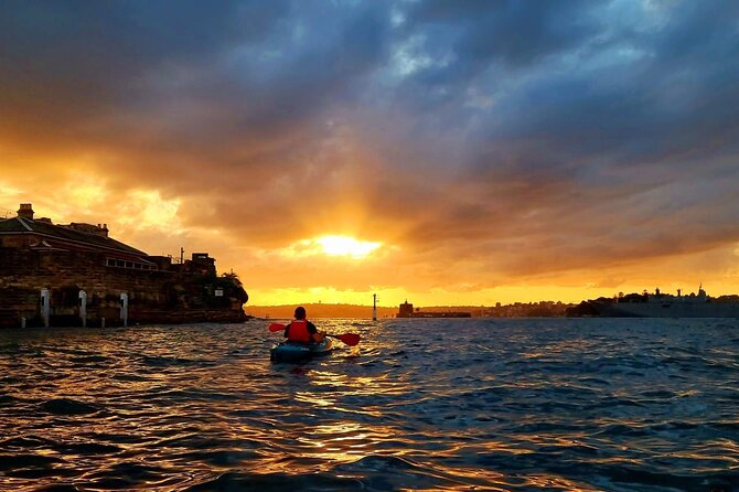 Sunrise Paddle Session on Syndey Harbour - Sydney Harbour Sunrise Experience