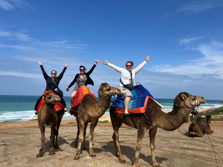 Tangier Tours With Ferry Ticket Camel Trek and Moroccan Food - Key Points