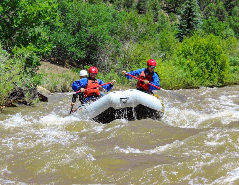 Telluride Whitewater Rafting - Afternoon Half Day - Activity Details